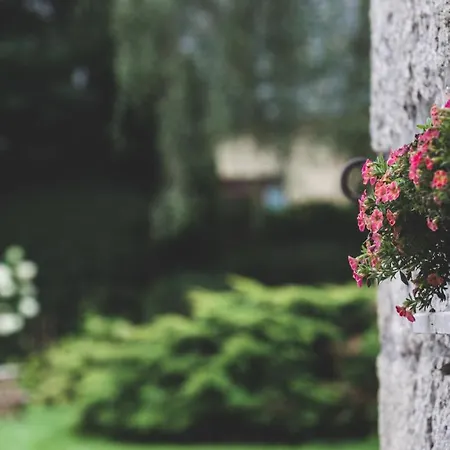 Przystanek Czarne Jelenia Góra