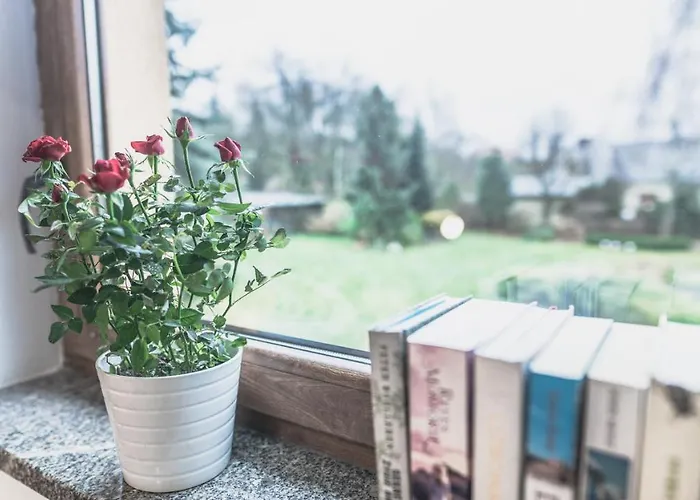 Guest house Przystanek Czarne