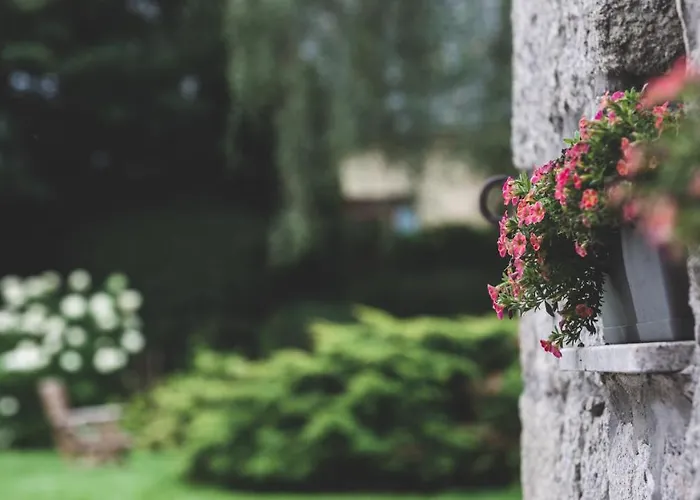 Przystanek Czarne Jelenia Góra